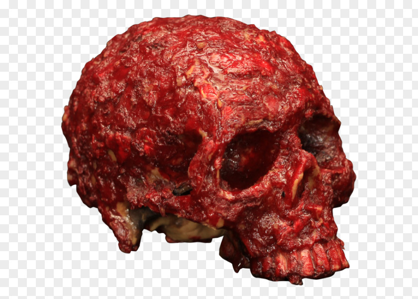Skull Blood Human Skeleton Head PNG skeleton Head, bloody hands clipart PNG