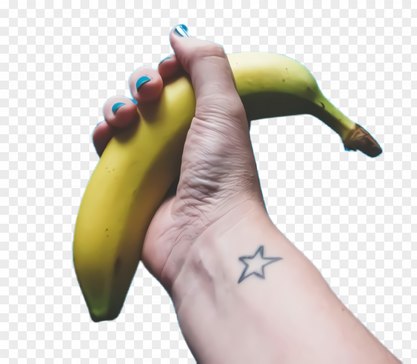 Thumb Food Banana Family Fruit Finger Plant PNG