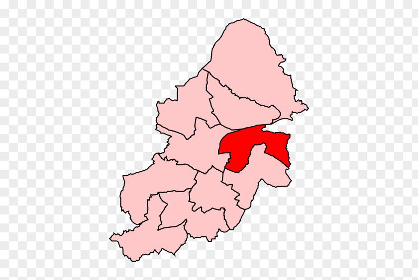 Birmingham Hodge Hill By-election, 2004 Stechford Edgbaston PNG