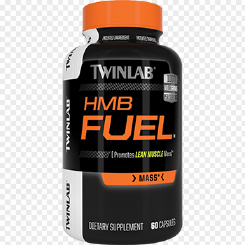 Health Dietary Supplement Twinlab Creatine Bodybuilding ZMA PNG