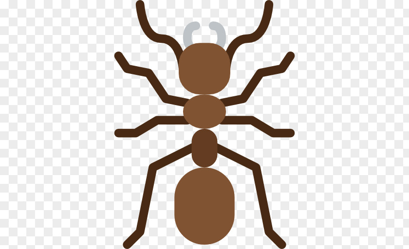Insect Ant Pest Clip Art PNG