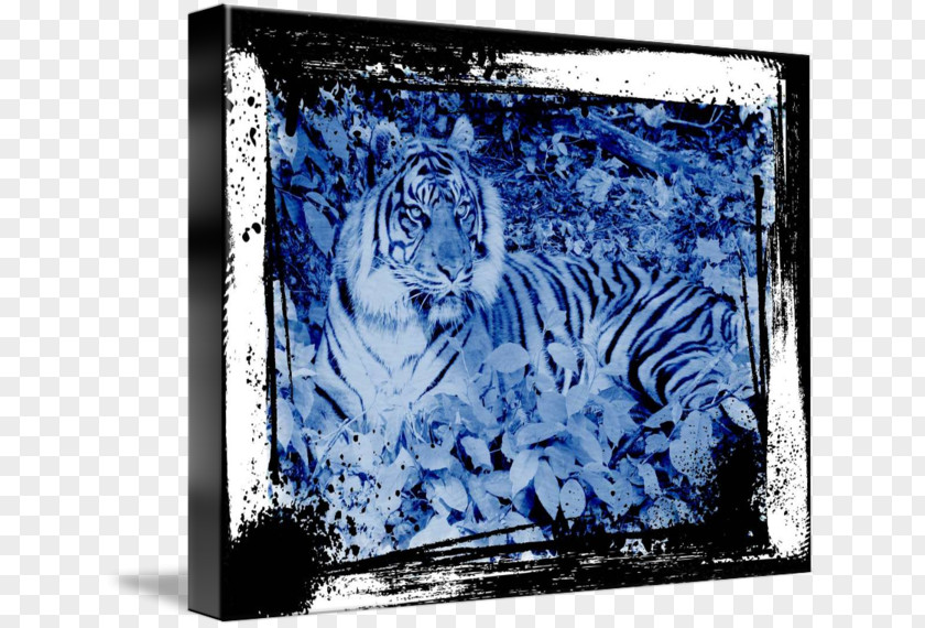 Tiger Print Big Cat Mammal Art PNG