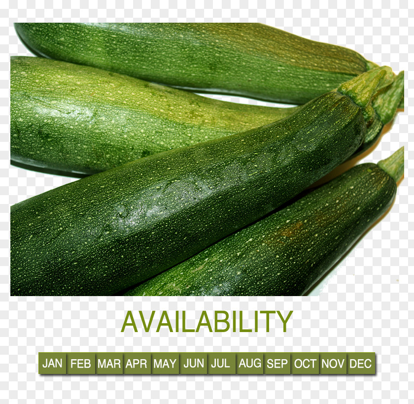 Vegetable Marrow Cucumber Cucurbita Pepo Calabaza Spreewald Gherkins PNG