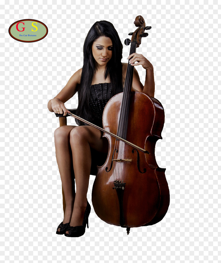 Violin Bass Double Violone Cello Viola PNG