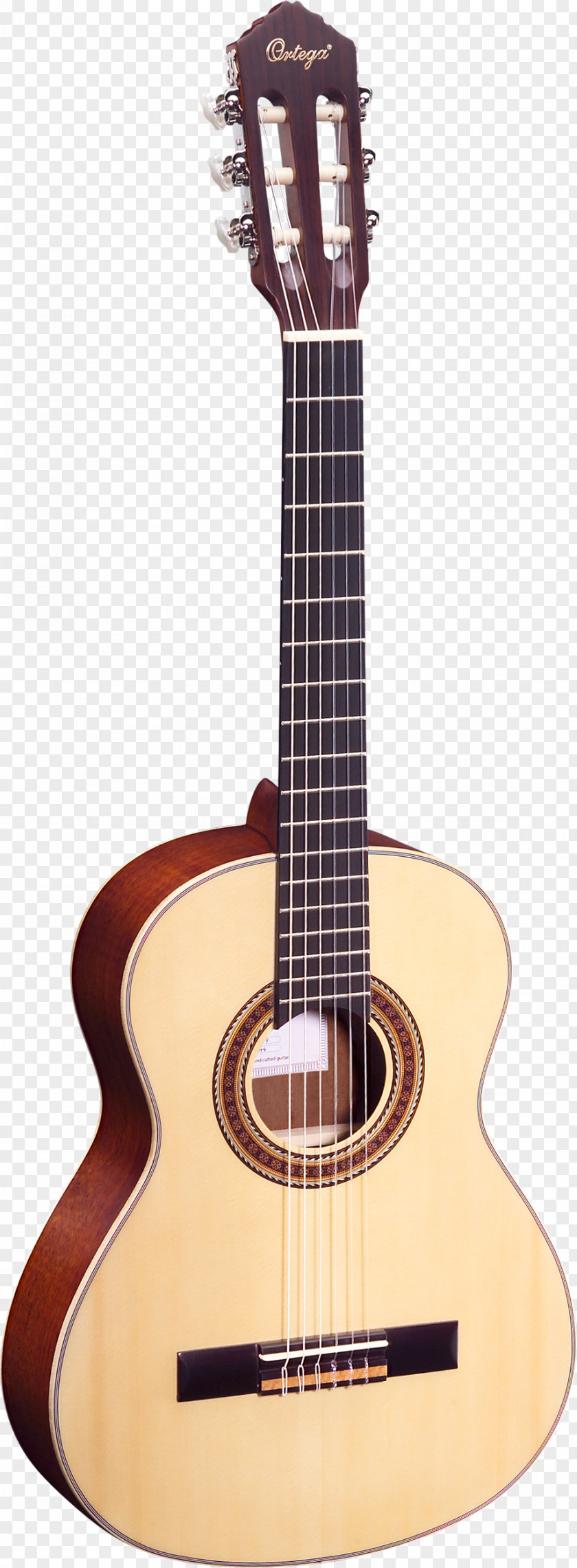 Amancio Ortega Twelve-string Guitar Steel-string Acoustic Acoustic-electric Musical Instruments PNG