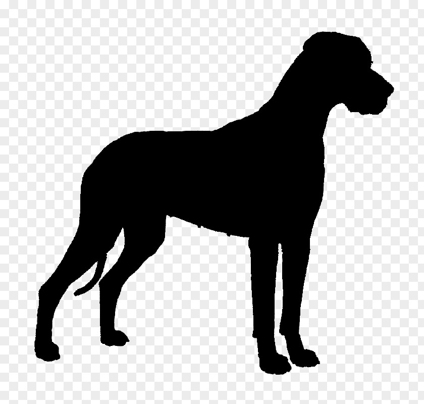 Boxer Puppy Rottweiler Vector Graphics Basset Hound PNG