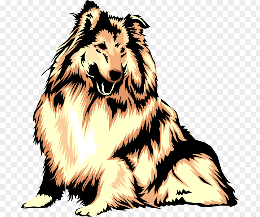 Lessi Vector Rough Collie Sheltie Clip Art DogIDs PNG