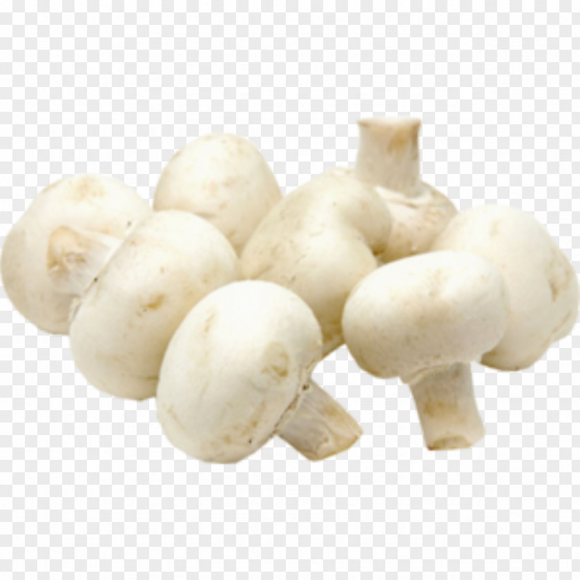 Mushroom Common Shiitake Edible Vegetable PNG