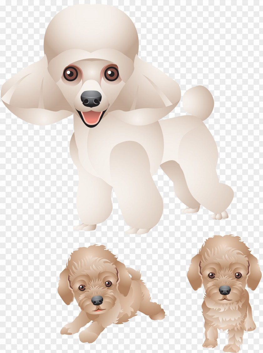Puppy Clipart Poodle Dog Breed Companion Clip Art PNG