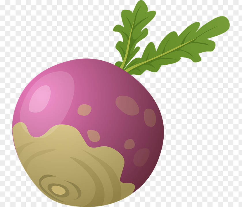 Beet The Gigantic Turnip Vegetable Clip Art PNG