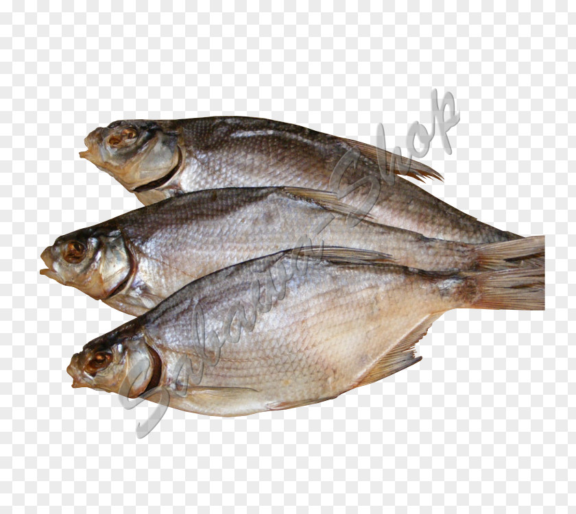 Fish Kipper Pelecus Cultratus Food Drying Zander PNG