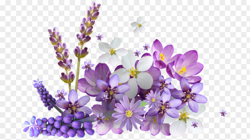 Flower Internet Explorer Download Clip Art PNG