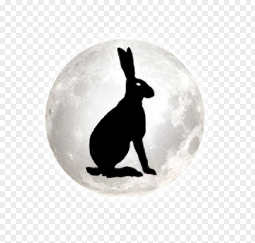 BRIGHT MOON Stonehenge Free Festival Hare Silhouette PNG