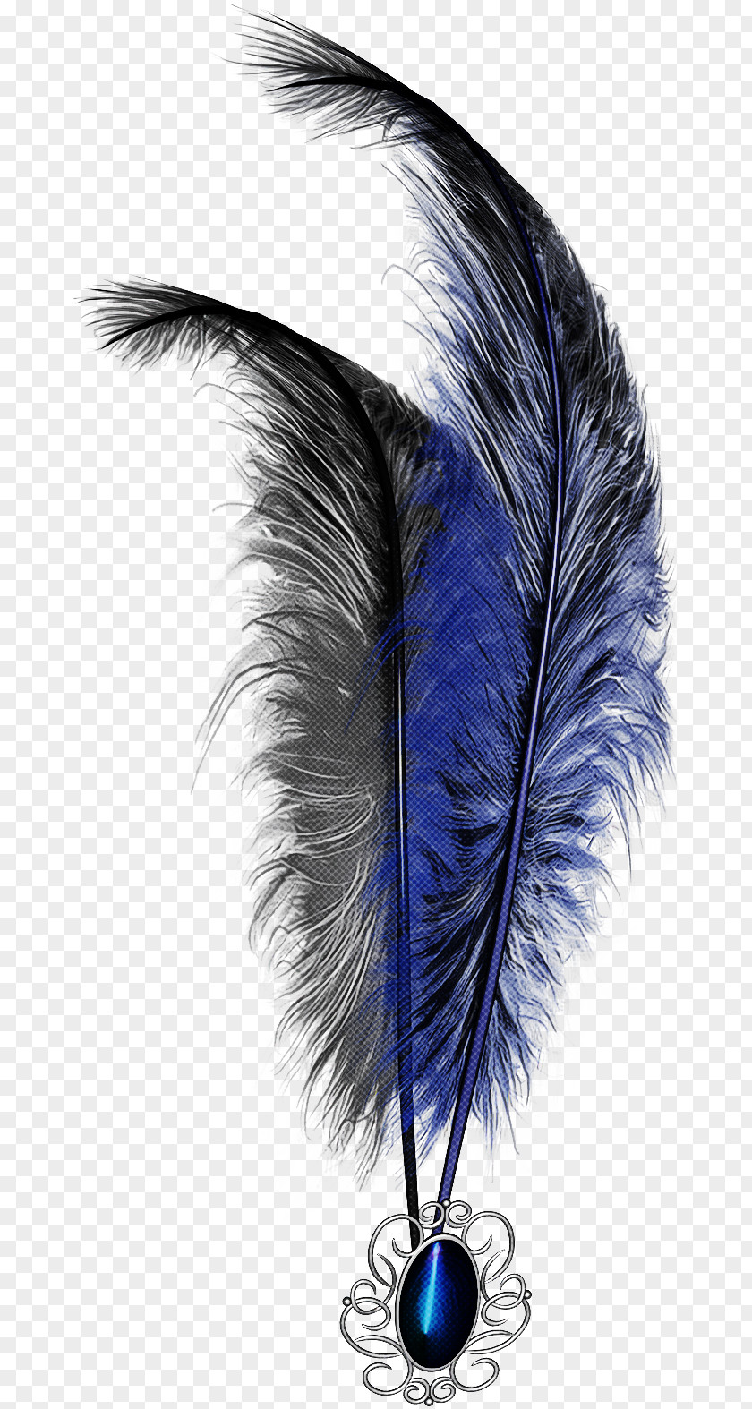 Feather PNG