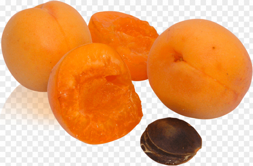 Peach Image Apricot Plum Blossom Armenian Food Prunus Americana PNG
