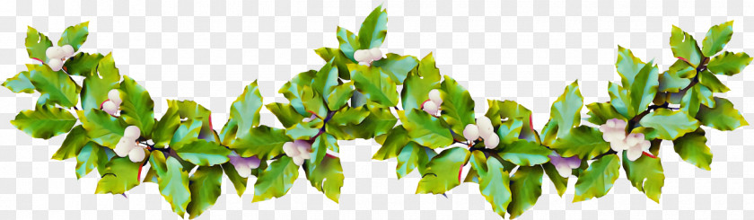 Christmas Holly Ilex PNG