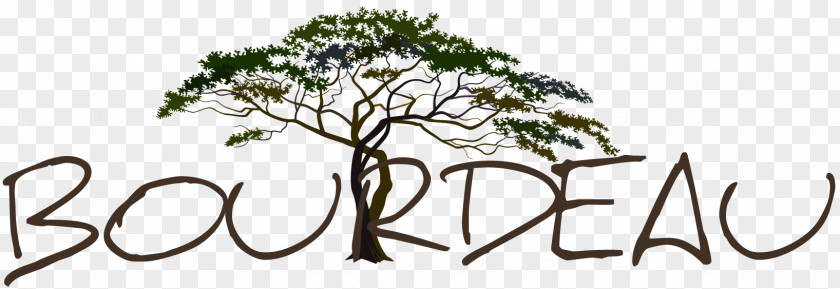 Environnement Fond Transparent Twig Savannah Tree Foundation Clip Art PNG