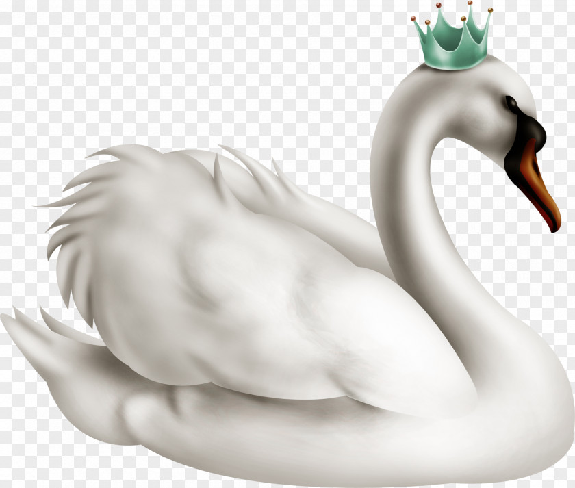 Goose Crown Cygnini Duck The Swan Princess Domestic PNG