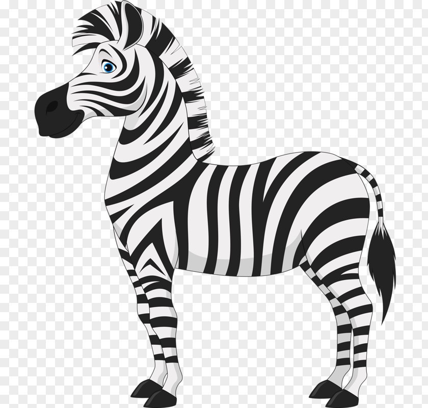 Tall Zebra Horse Clip Art PNG