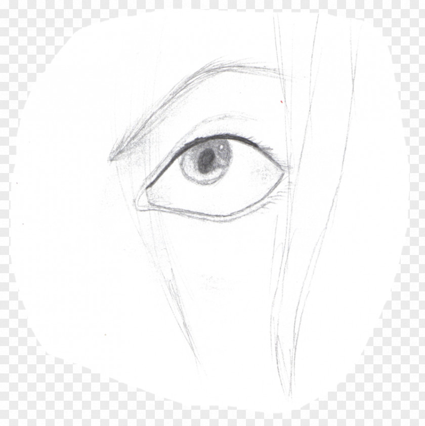 Border Ml Eyebrow Drawing Eyelash Forehead Sketch PNG