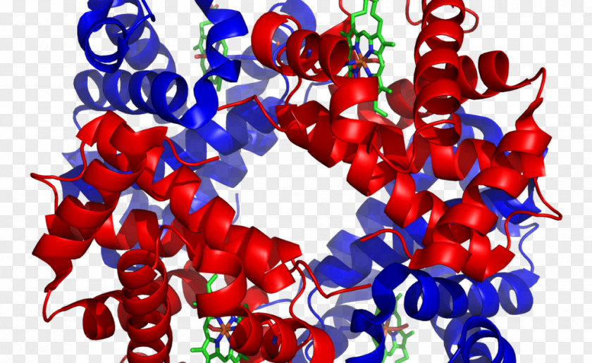 Fisik Protein Quaternary Structure Tertiary Secondary PNG