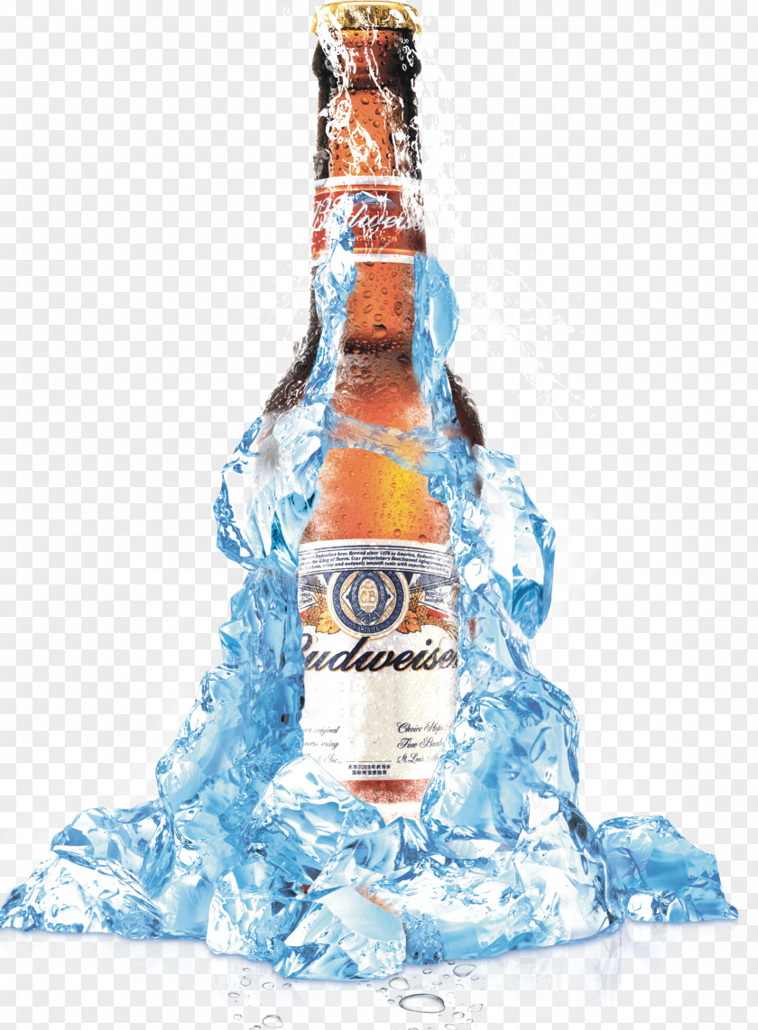 Iced Beer Harbin Brewery Oktoberfest Drink PNG