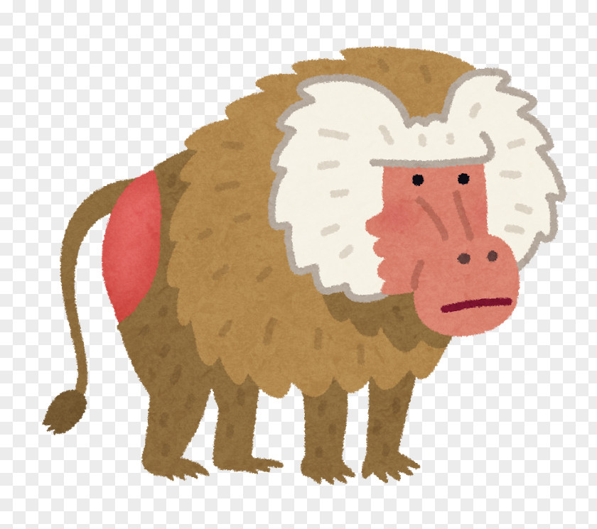Monkey Hamadryas Baboon Japanese Macaque いらすとや PNG