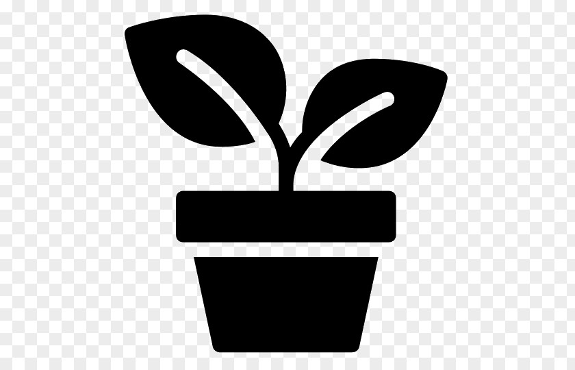 Plant Houseplant Flowerpot Bonsai PNG