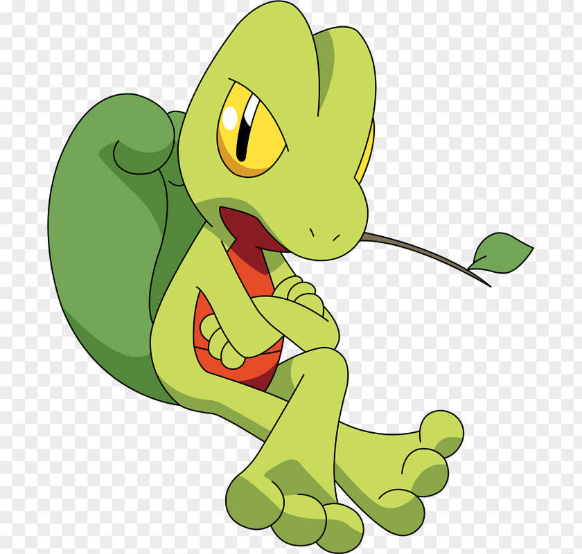 Yoshi Map Treecko Grovyle Sceptile Torchic PNG