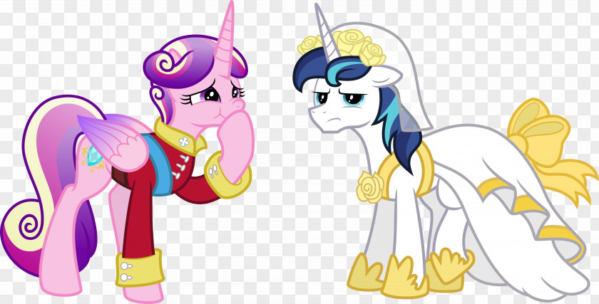 Big Mac Equestria Girls Fluttershy Wedding Princess Cadance Shining Armor Pony Rarity PNG