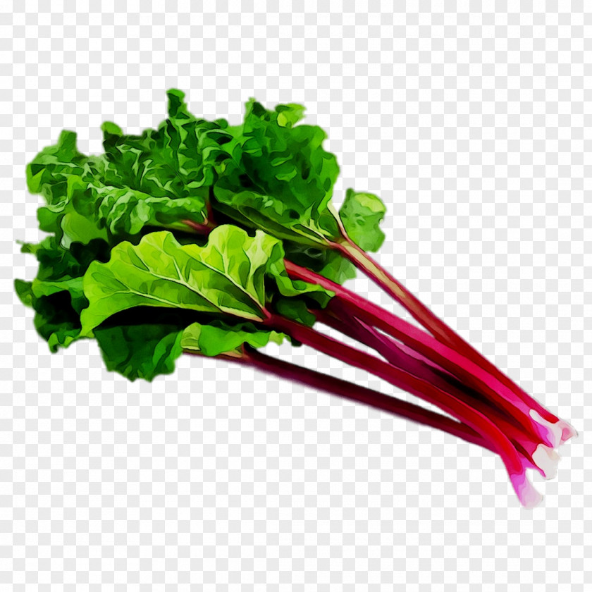 Chard Collard Greens Spring Rapini Herb PNG