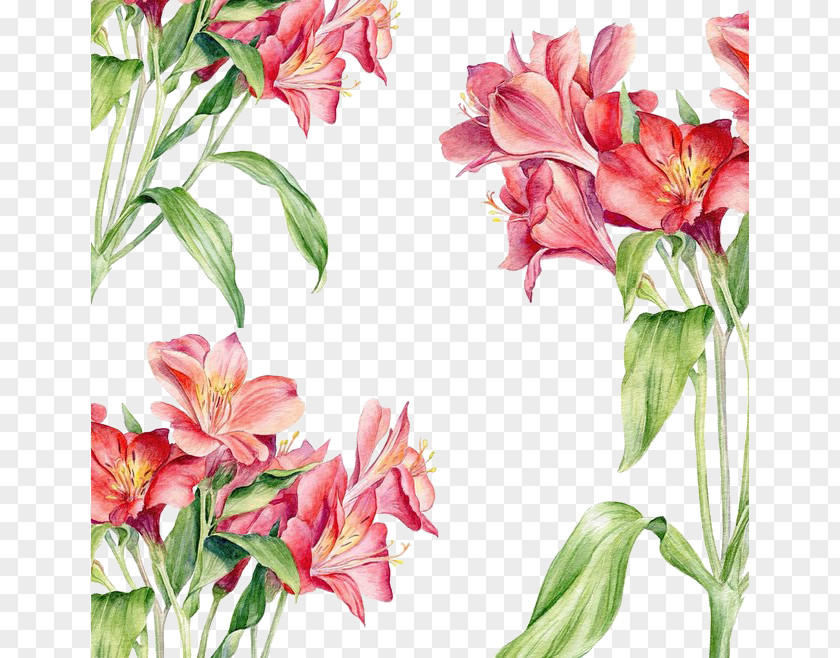Red Flowers Background Watercolor Painting Drawing Illustration PNG