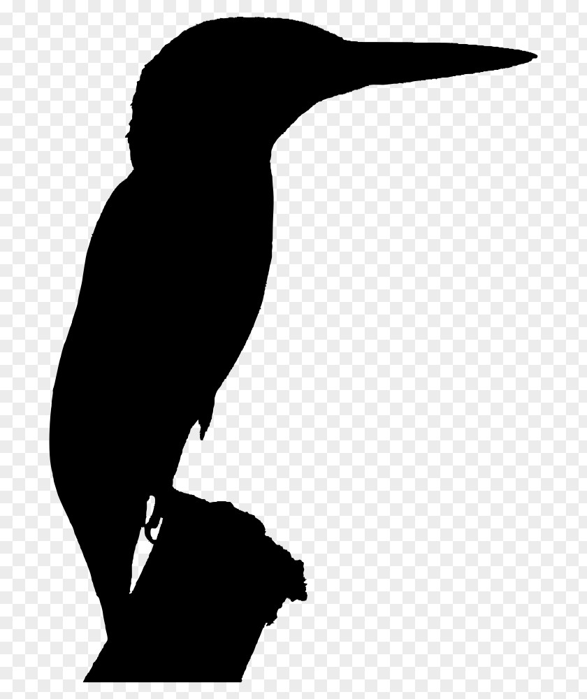 Silhouette Belted Kingfisher Clip Art PNG