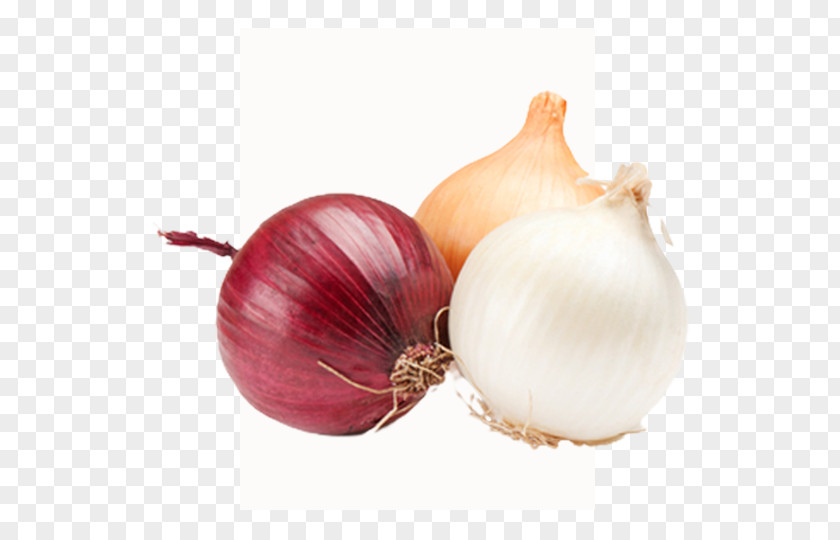 Vegetable Yellow Onion Shallot French Soup Red PNG