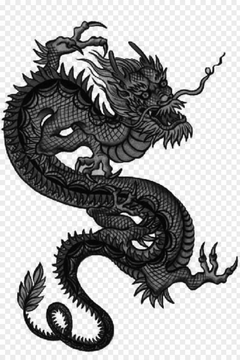 Chinese Style Japanese Dragon Art Tattoo PNG