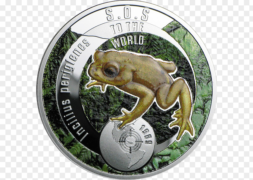 Coin Toad True Frog PNG