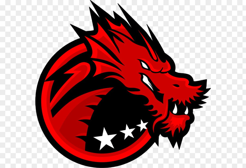 Dragon Logo Counter-Strike: Global Offensive Binary Dragons Space Soldiers DreamHack Avangar PNG