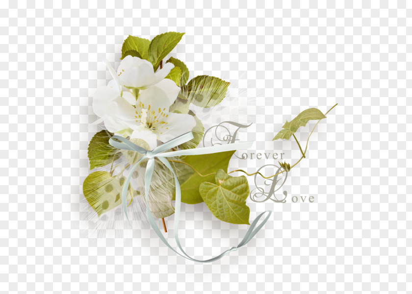 Flower Clip Art Desktop Wallpaper Image PNG