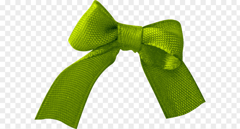Green Bow Clip Art Product Design Bahan PNG