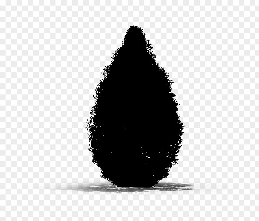 M Tree Black & White PNG