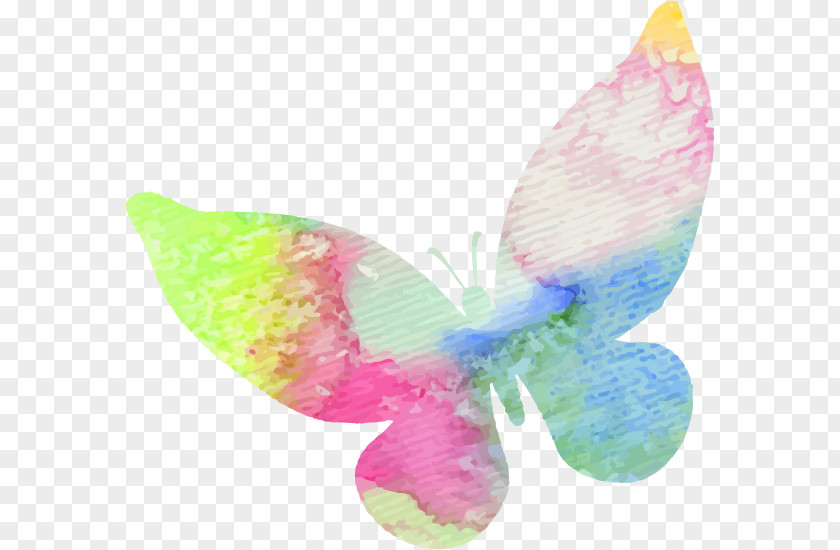 Drawing Butterfly Illustration PNG
