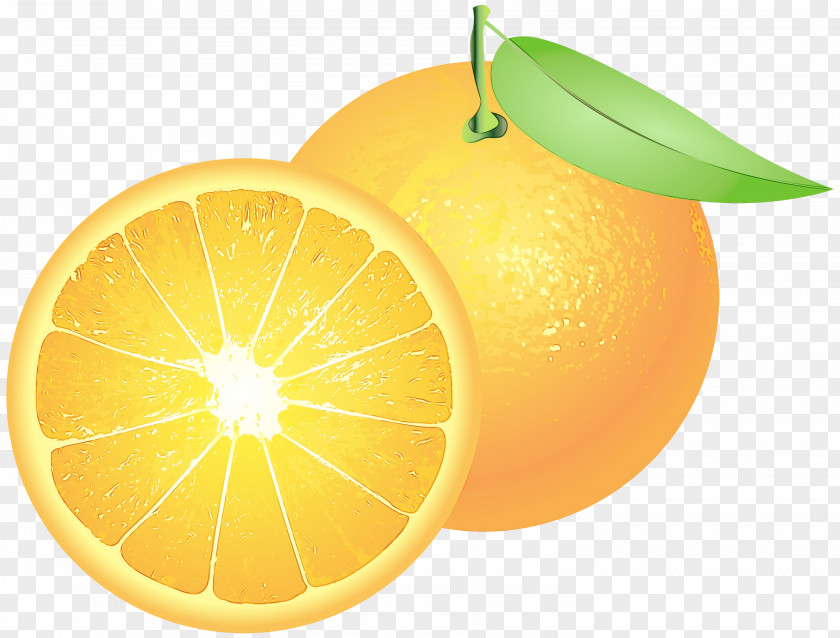 Lime Valencia Orange PNG