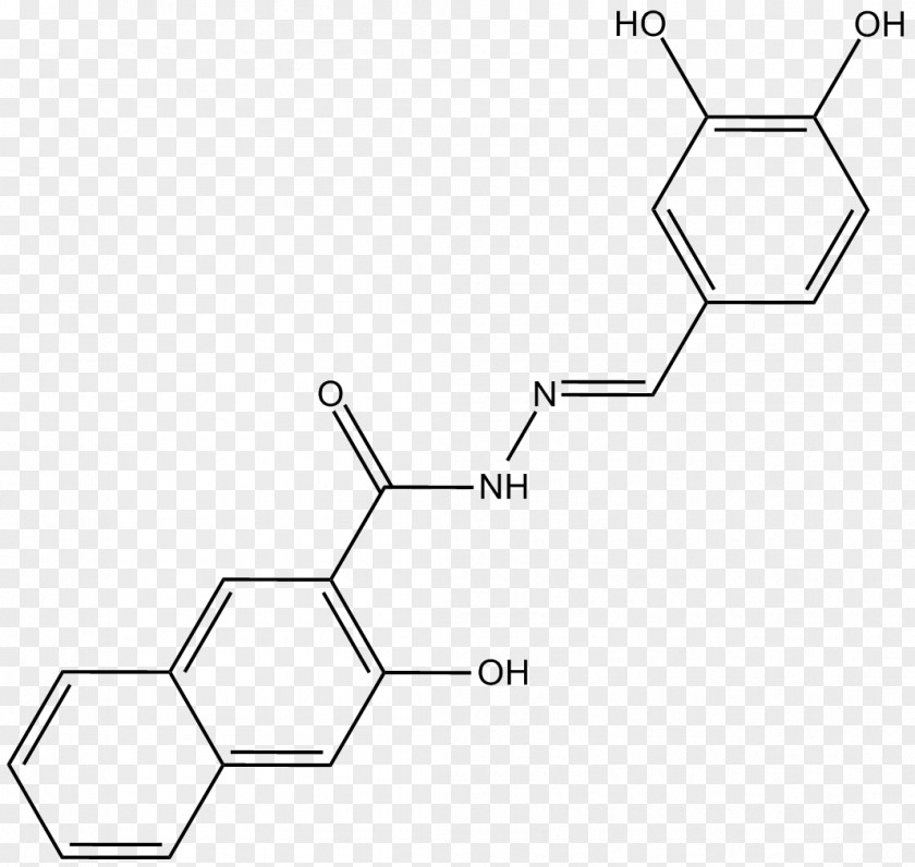 Phosphoinositide 3-kinase Enzyme Inhibitor Protein Kinase B Receptor Cell Membrane PNG