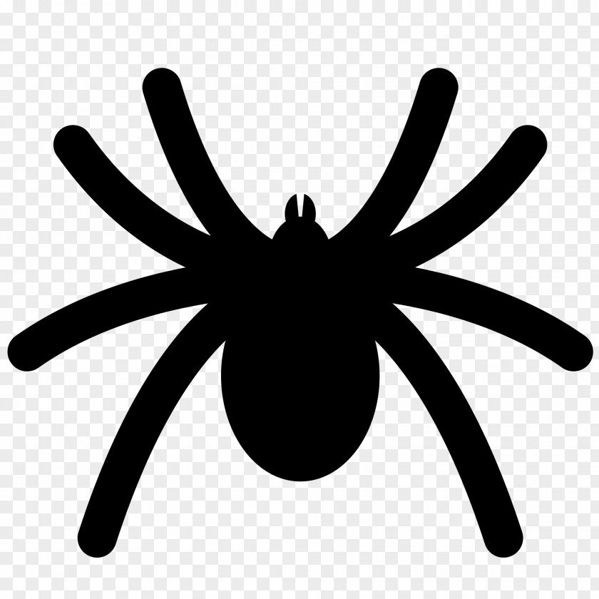 Spider Animation Clip Art PNG