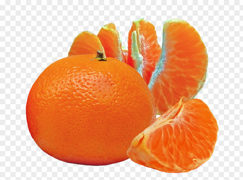 Citrus Cocktail Orange Juice Fruit Mandarina PNG