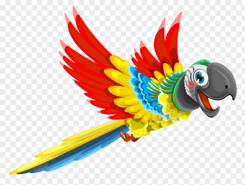 Parrot Vector Bird PNG