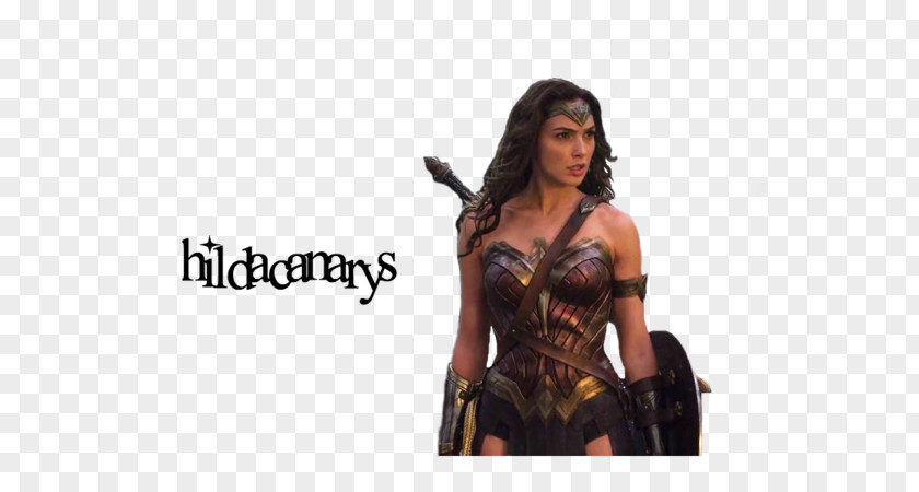 Wonder Woman Superman Female PNG