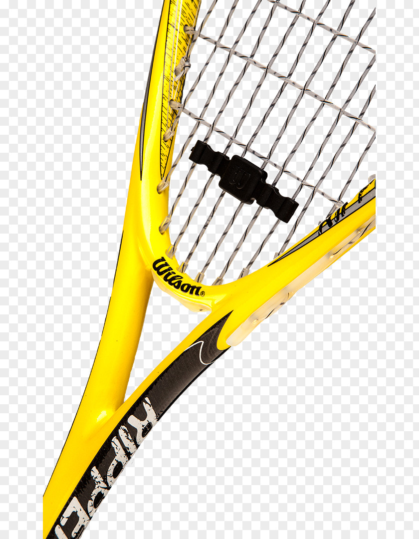 Ball Racket Rakieta Do Squasha Wilson Sporting Goods PNG