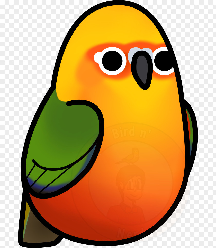 Bird Conure Jandaya Parakeet Green-cheeked PNG
