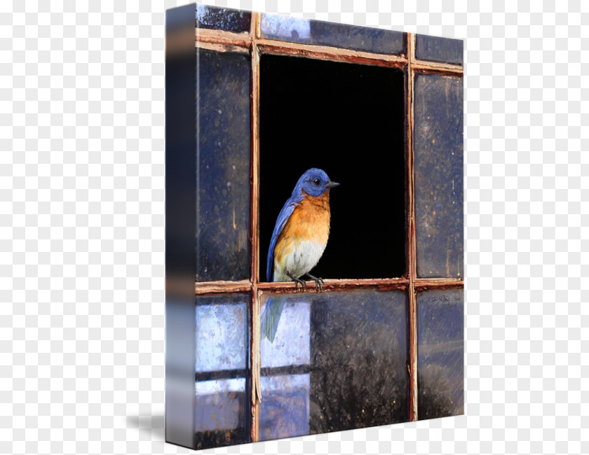 Eastern Bluebird Mountain Of Happiness Window PNG